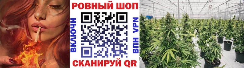 Купить наркотик аптеки Ермолино СОЛЬ  МАРИХУАНА  ссылка на мегу ссылки  Cocaine 