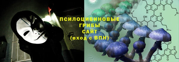 кокс Нягань